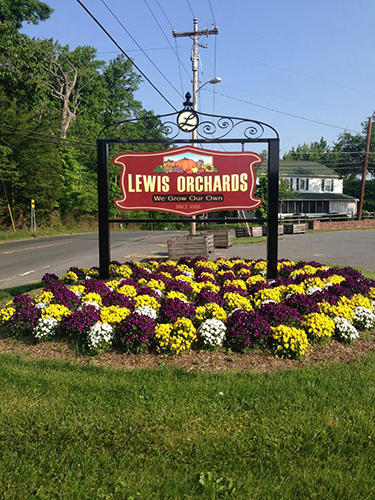 Lewis Orchards Dickerson Maryland
